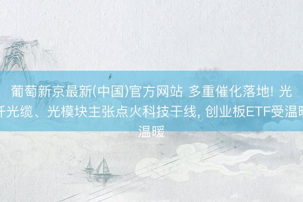 葡萄新京最新(中国)官方网站 多重催化落地! 光纤光缆、光模块主张点火科技干线， 创业板ETF受温暖