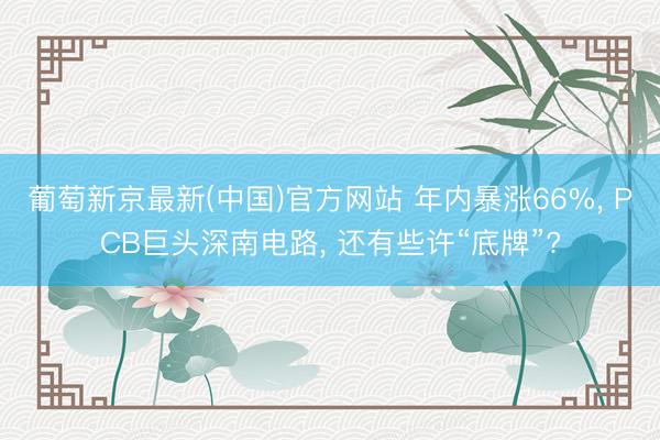 葡萄新京最新(中国)官方网站 年内暴涨66%， PCB巨头深南电路， 还有些许“底牌”?