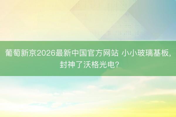葡萄新京2026最新中国官方网站 小小玻璃基板， 封神了沃格光电?