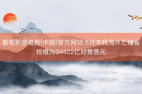 葡萄新京最新(中国)官方网站 5月末我海外汇储备规模为34422亿好意思元
