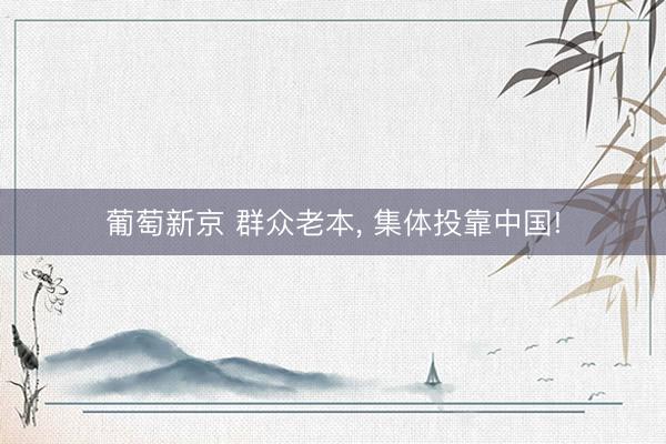葡萄新京 群众老本， 集体投靠中国!