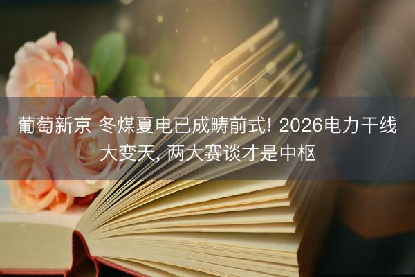 葡萄新京 冬煤夏电已成畴前式! 2026电力干线大变天， 两大赛谈才是中枢