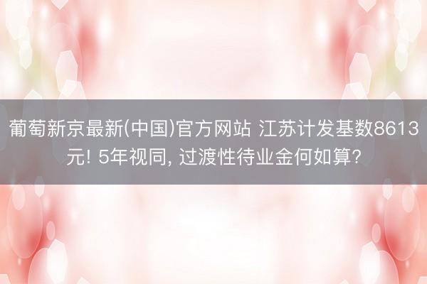 葡萄新京最新(中国)官方网站 江苏计发基数8613元! 5年视同， 过渡性待业金何如算?