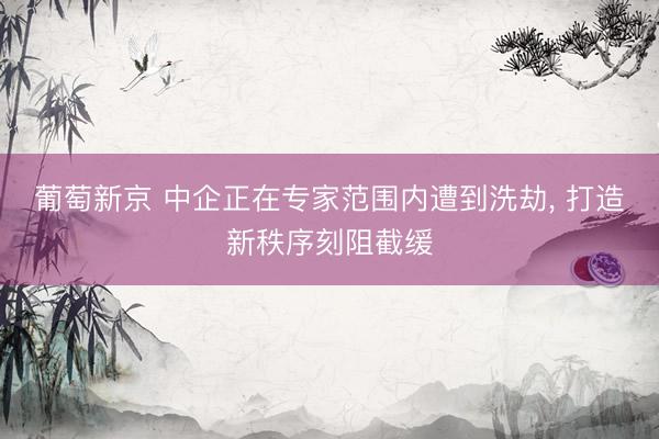 葡萄新京 中企正在专家范围内遭到洗劫， 打造新秩序刻阻截缓