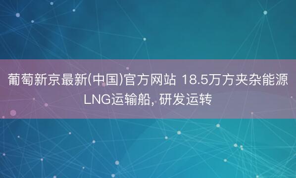 葡萄新京最新(中国)官方网站 18.5万方夹杂能源LNG运输船， 研发运转