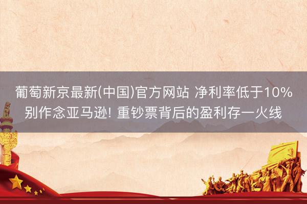 葡萄新京最新(中国)官方网站 净利率低于10%别作念亚马逊! 重钞票背后的盈利存一火线
