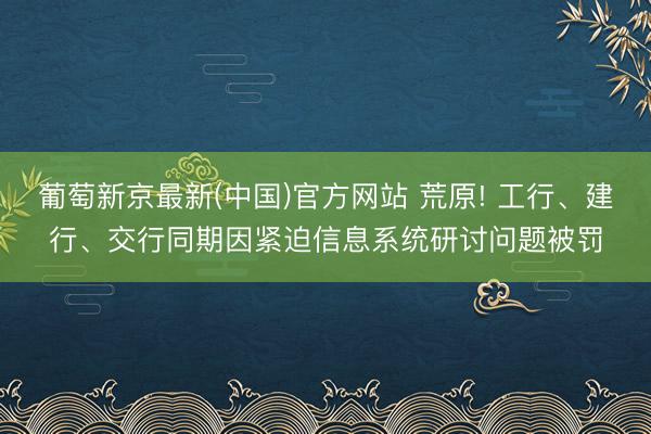 葡萄新京最新(中国)官方网站 荒原! 工行、建行、交行同期因紧迫信息系统研讨问题被罚