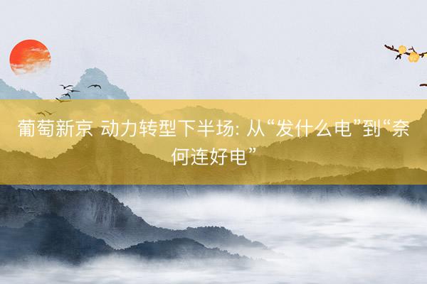 葡萄新京 动力转型下半场: 从“发什么电”到“奈何连好电”