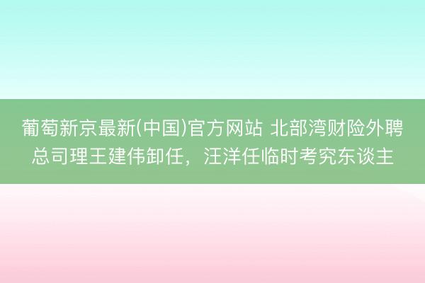 葡萄新京最新(中国)官方网站 北部湾财险外聘总司理王建伟卸任，汪洋任临时考究东谈主