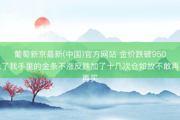 葡萄新京最新(中国)官方网站 金价跌破950元了我手里的金条不涨反跌加了十几次仓如故不敢再买