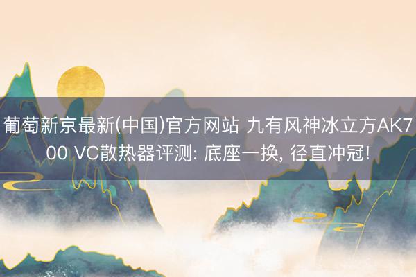 葡萄新京最新(中国)官方网站 九有风神冰立方AK700 VC散热器评测: 底座一换， 径直冲冠!