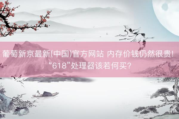 葡萄新京最新(中国)官方网站 内存价钱仍然很贵! “618”处理器该若何买?