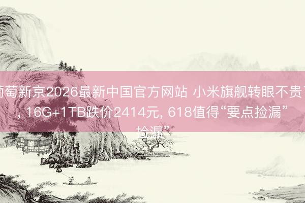 葡萄新京2026最新中国官方网站 小米旗舰转眼不贵了， 16G+1TB跌价2414元， 618值得“要点捡漏”