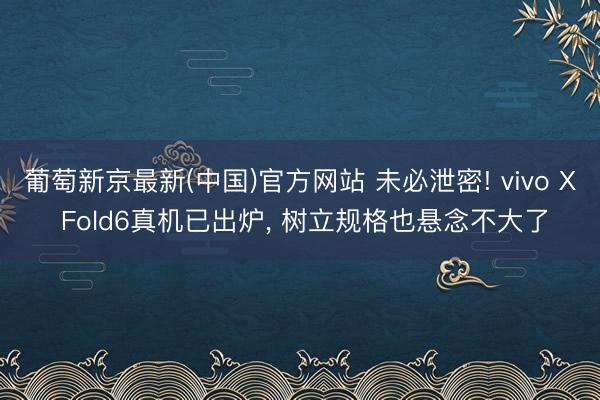 葡萄新京最新(中国)官方网站 未必泄密! vivo X Fold6真机已出炉， 树立规格也悬念不大了