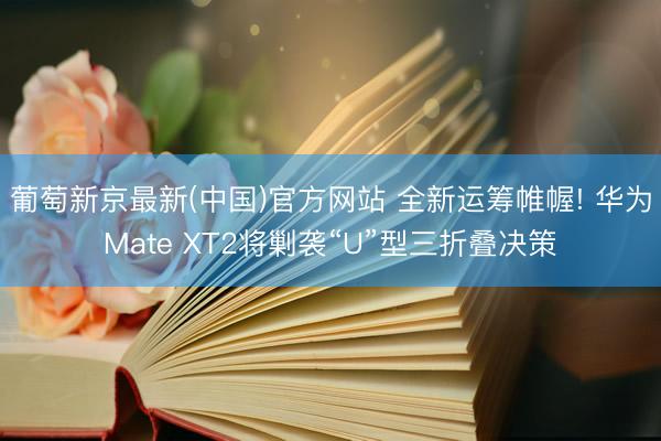 葡萄新京最新(中国)官方网站 全新运筹帷幄! 华为Mate XT2将剿袭“U”型三折叠决策