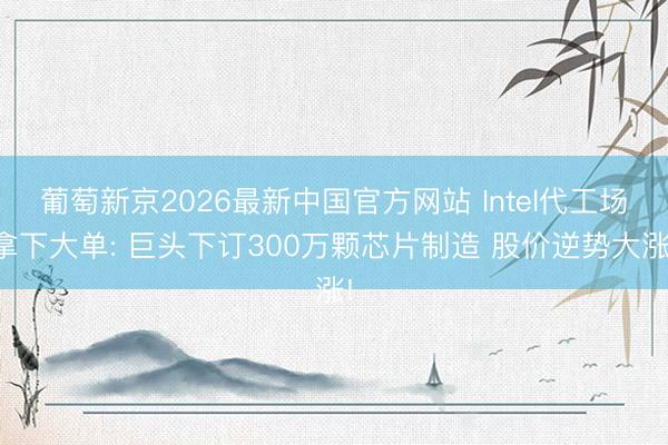 葡萄新京2026最新中国官方网站 Intel代工场拿下大单: 巨头下订300万颗芯片制造 股价逆势大涨!