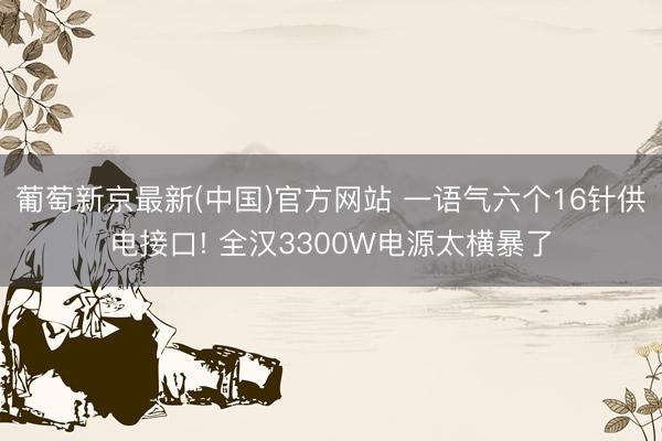葡萄新京最新(中国)官方网站 一语气六个16针供电接口! 全汉3300W电源太横暴了