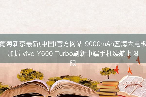 葡萄新京最新(中国)官方网站 9000mAh蓝海大电板加抓 vivo Y600 Turbo刷新中端手机续航上限