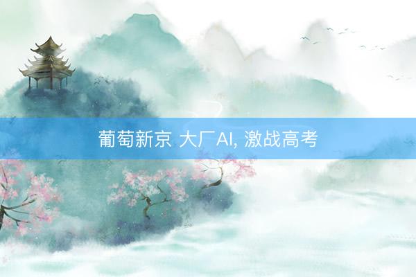 葡萄新京 大厂AI， 激战高考