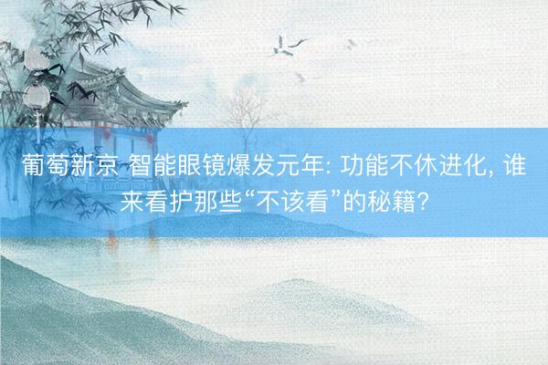 葡萄新京 智能眼镜爆发元年: 功能不休进化， 谁来看护那些“不该看”的秘籍?