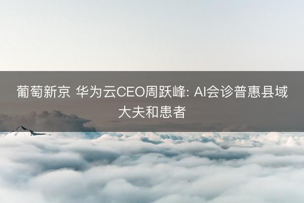 葡萄新京 华为云CEO周跃峰: AI会诊普惠县域大夫和患者