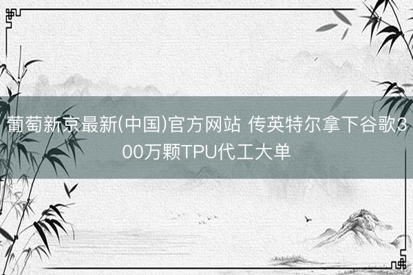葡萄新京最新(中国)官方网站 传英特尔拿下谷歌300万颗TPU代工大单