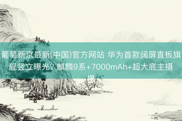 葡萄新京最新(中国)官方网站 华为首款阔屏直板旗舰竖立曝光? 麒麟9系+7000mAh+超大底主摄