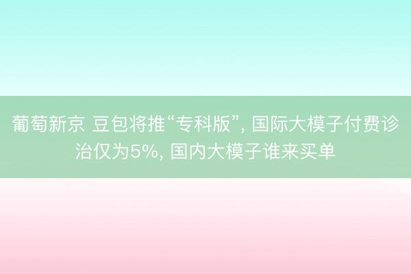 葡萄新京 豆包将推“专科版”， 国际大模子付费诊治仅为5%， 国内大模子谁来买单