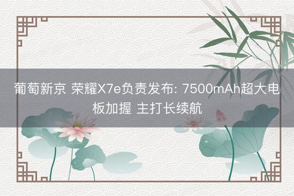 葡萄新京 荣耀X7e负责发布: 7500mAh超大电板加握 主打长续航