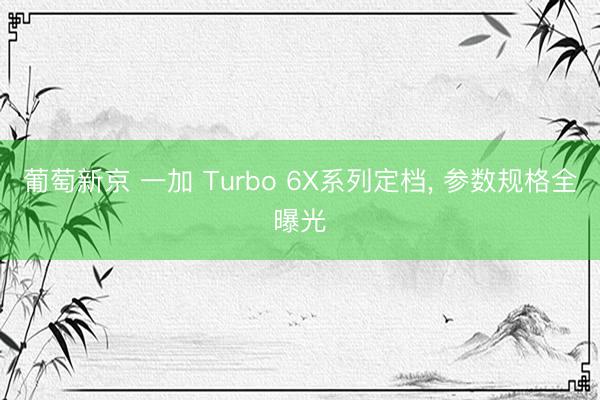葡萄新京 一加 Turbo 6X系列定档， 参数规格全曝光