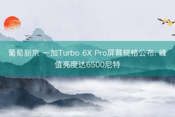 葡萄新京 一加Turbo 6X Pro屏幕规格公布: 峰值亮度达6500尼特