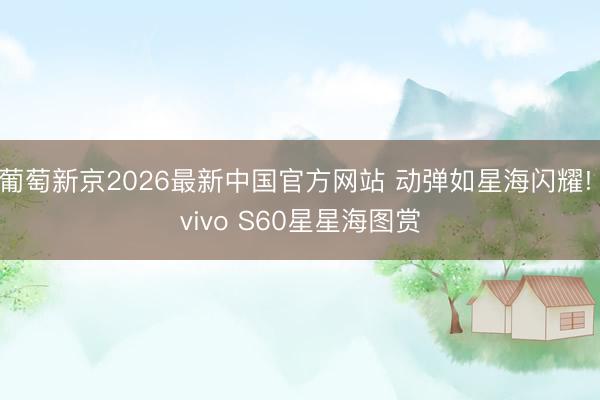 葡萄新京2026最新中国官方网站 动弹如星海闪耀! vivo S60星星海图赏