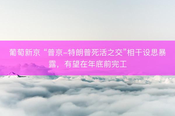葡萄新京 “普京-特朗普死活之交”相干设思暴露，有望在年底前完工