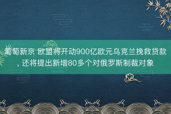 葡萄新京 欧盟将开动900亿欧元乌克兰挽救贷款， 还将提出新增80多个对俄罗斯制裁对象