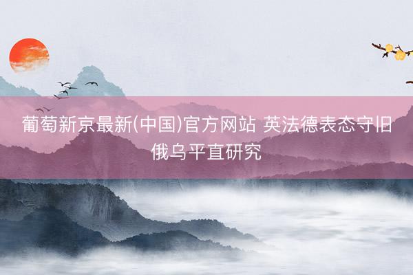 葡萄新京最新(中国)官方网站 英法德表态守旧俄乌平直研究