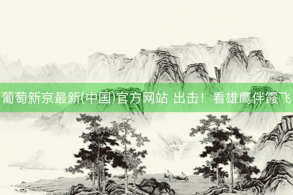 葡萄新京最新(中国)官方网站 出击！看雄鹰伴霞飞