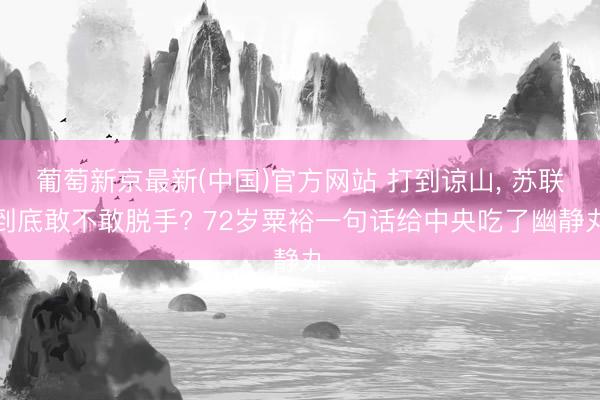 葡萄新京最新(中国)官方网站 打到谅山， 苏联到底敢不敢脱手? 72岁粟裕一句话给中央吃了幽静丸