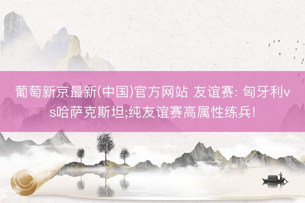 葡萄新京最新(中国)官方网站 友谊赛: 匈牙利vs哈萨克斯坦;纯友谊赛高属性练兵!