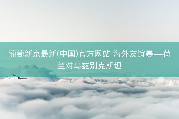 葡萄新京最新(中国)官方网站 海外友谊赛--荷兰对乌兹别克斯坦