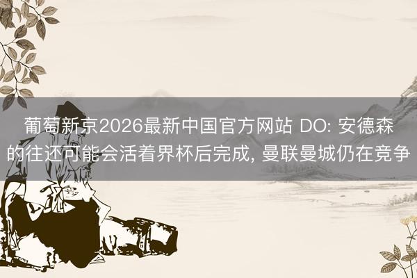 葡萄新京2026最新中国官方网站 DO: 安德森的往还可能会活着界杯后完成， 曼联曼城仍在竞争