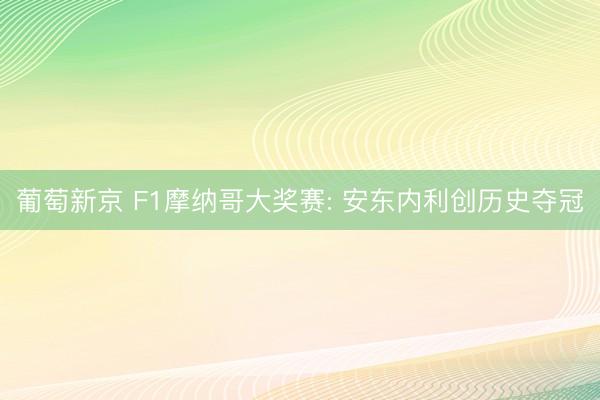 葡萄新京 F1摩纳哥大奖赛: 安东内利创历史夺冠