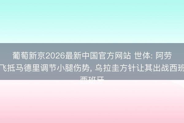 葡萄新京2026最新中国官方网站 世体: 阿劳霍飞抵马德里调节小腿伤势， 乌拉圭方针让其出战西班牙