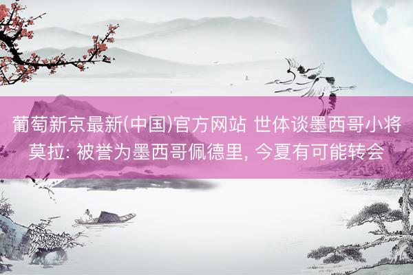 葡萄新京最新(中国)官方网站 世体谈墨西哥小将莫拉: 被誉为墨西哥佩德里， 今夏有可能转会