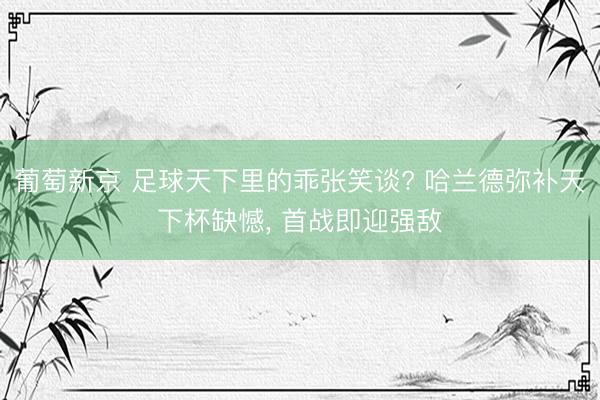 葡萄新京 足球天下里的乖张笑谈? 哈兰德弥补天下杯缺憾, 首战即迎强敌