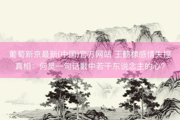 葡萄新京最新(中国)官方网站 王鹤棣感情失控真相：何炅一句话戳中若干东说念主的心？