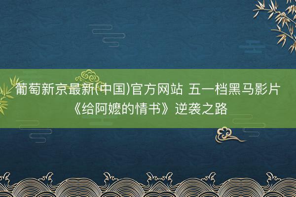 葡萄新京最新(中国)官方网站 五一档黑马影片《给阿嬷的情书》逆袭之路