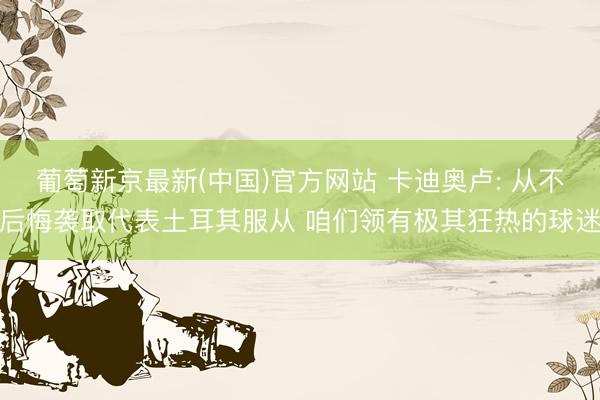 葡萄新京最新(中国)官方网站 卡迪奥卢: 从不后悔袭取代表土耳其服从 咱们领有极其狂热的球迷