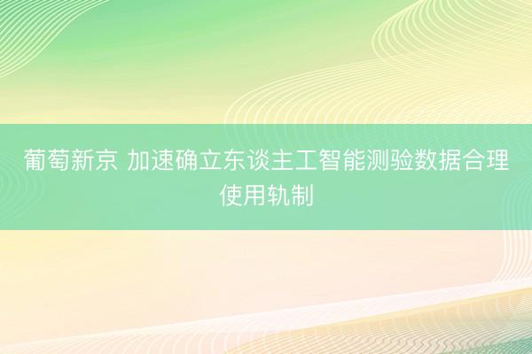 葡萄新京 加速确立东谈主工智能测验数据合理使用轨制