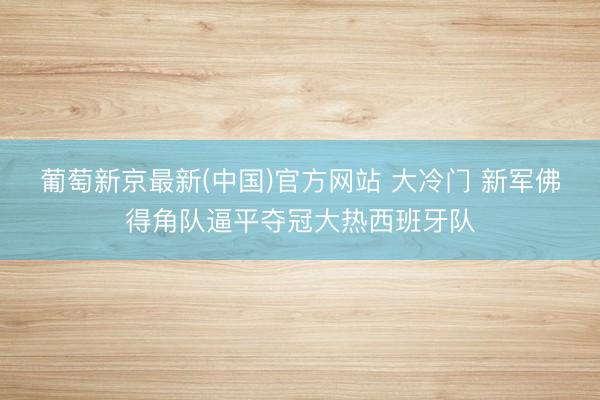 葡萄新京最新(中国)官方网站 大冷门 新军佛得角队逼平夺冠大热西班牙队