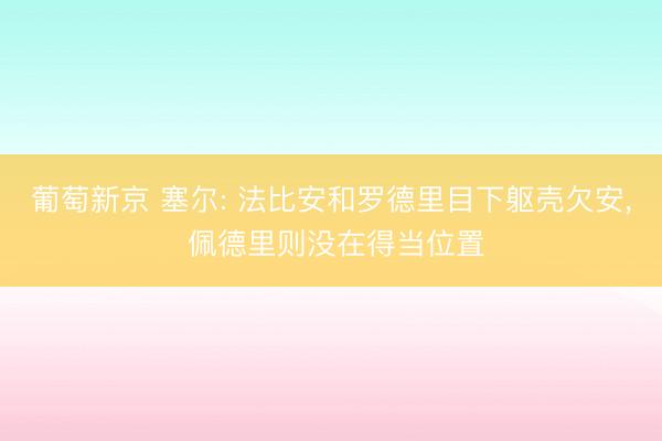 葡萄新京 塞尔: 法比安和罗德里目下躯壳欠安， 佩德里则没在得当位置